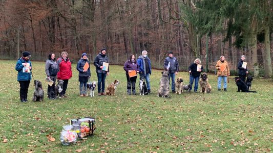 Begleithundeprüfung 2021